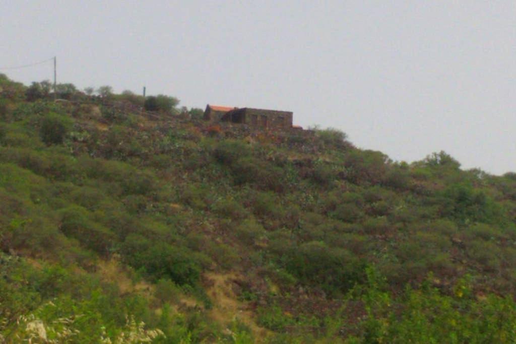 Casa Rural La Casa De La Lima Las Rosas  Εξωτερικό φωτογραφία